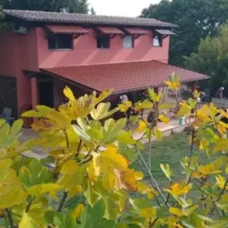 La Tenutella Adiacente Valmontone 아파트 *